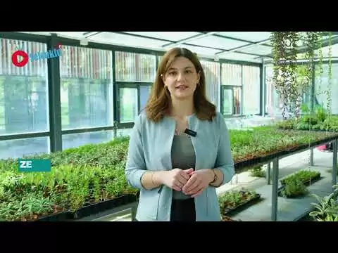 SOBE'de Seranın Eğitime Etkisi
