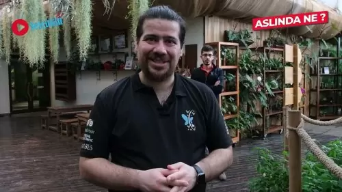 Kelebek Bahçesi