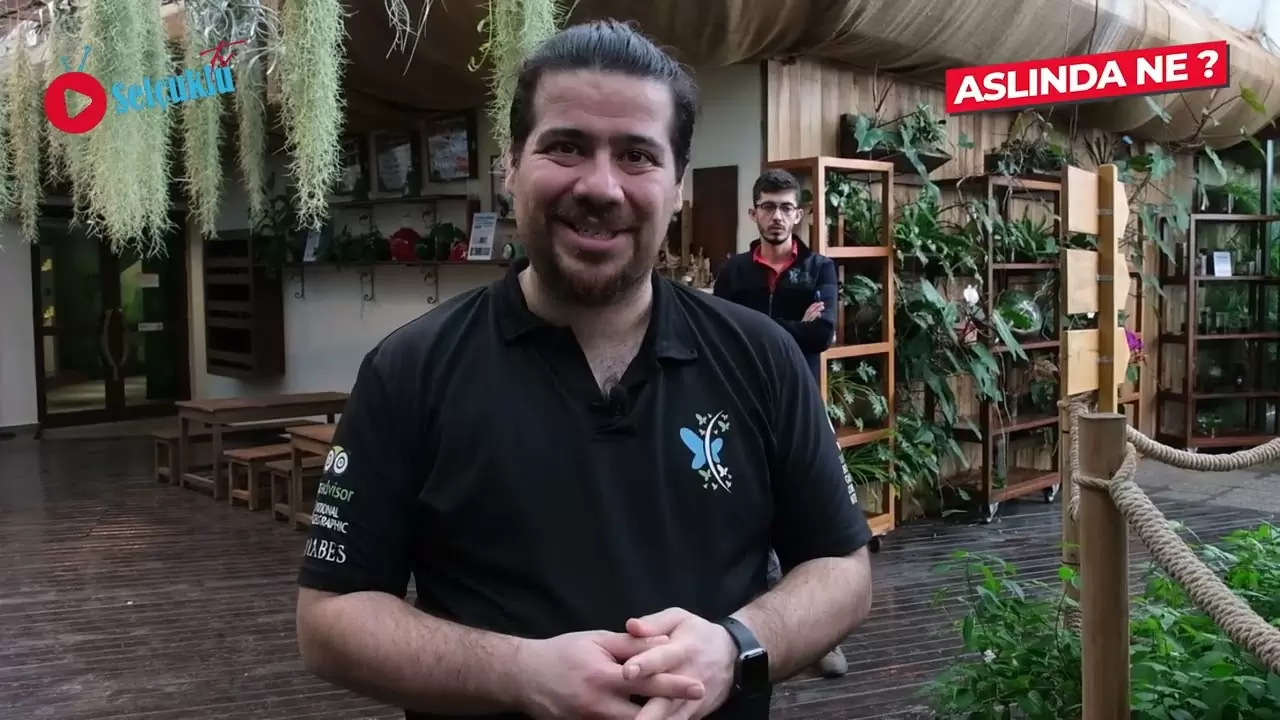 Konyanın Tropik Cenneti! Konya Tropikal Kelebek Bahçesi